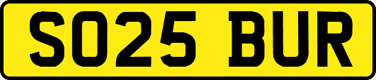 SO25BUR