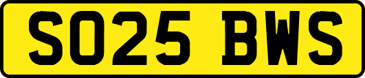 SO25BWS