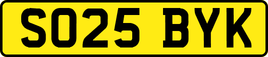 SO25BYK
