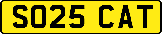 SO25CAT
