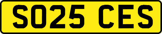 SO25CES