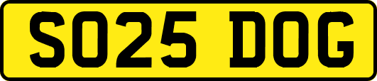 SO25DOG
