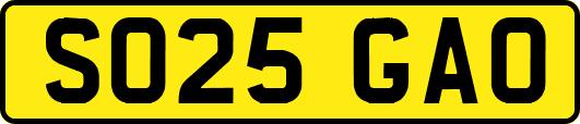 SO25GAO