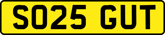 SO25GUT