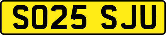 SO25SJU