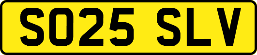 SO25SLV