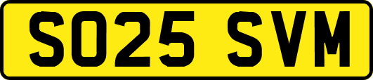 SO25SVM