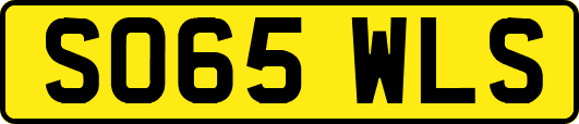 SO65WLS