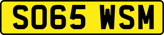 SO65WSM