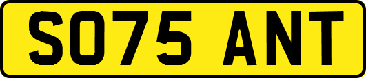 SO75ANT