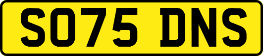 SO75DNS