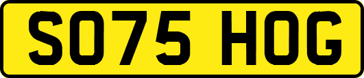 SO75HOG