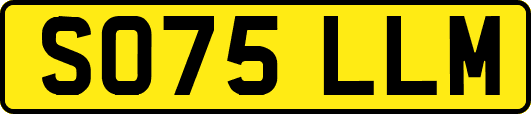 SO75LLM