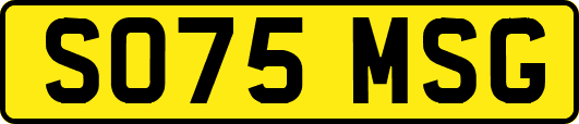 SO75MSG
