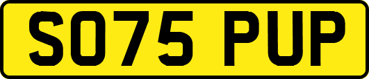 SO75PUP