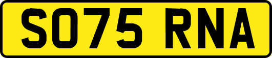 SO75RNA