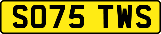 SO75TWS