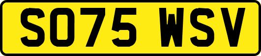 SO75WSV