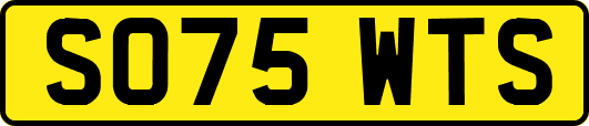 SO75WTS
