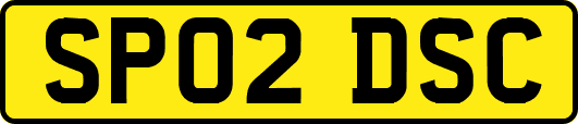 SP02DSC