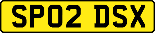 SP02DSX