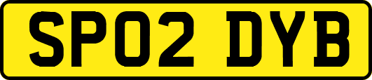 SP02DYB