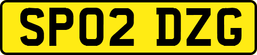 SP02DZG