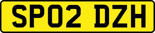 SP02DZH