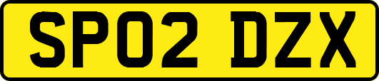 SP02DZX