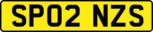 SP02NZS