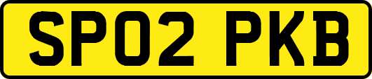 SP02PKB