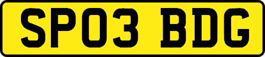 SP03BDG