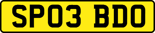 SP03BDO