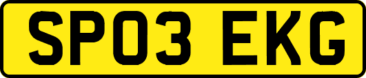 SP03EKG