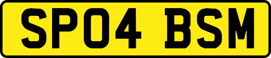 SP04BSM