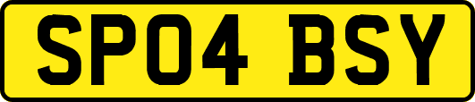 SP04BSY