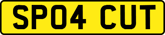 SP04CUT