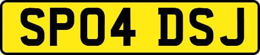 SP04DSJ
