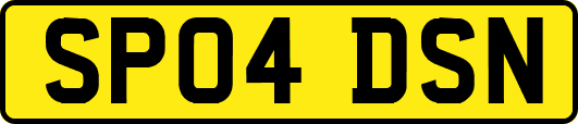 SP04DSN