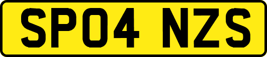 SP04NZS