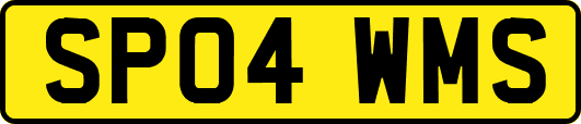 SP04WMS