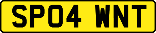 SP04WNT