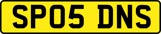 SP05DNS