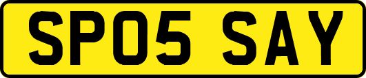 SP05SAY