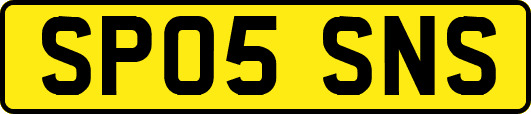 SP05SNS