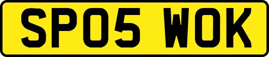 SP05WOK