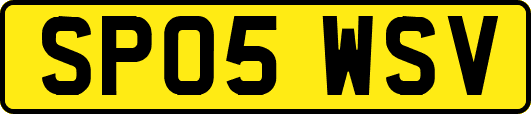SP05WSV