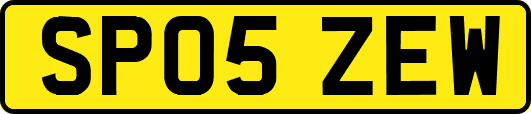 SP05ZEW