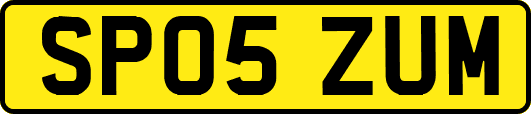 SP05ZUM