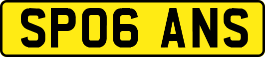 SP06ANS
